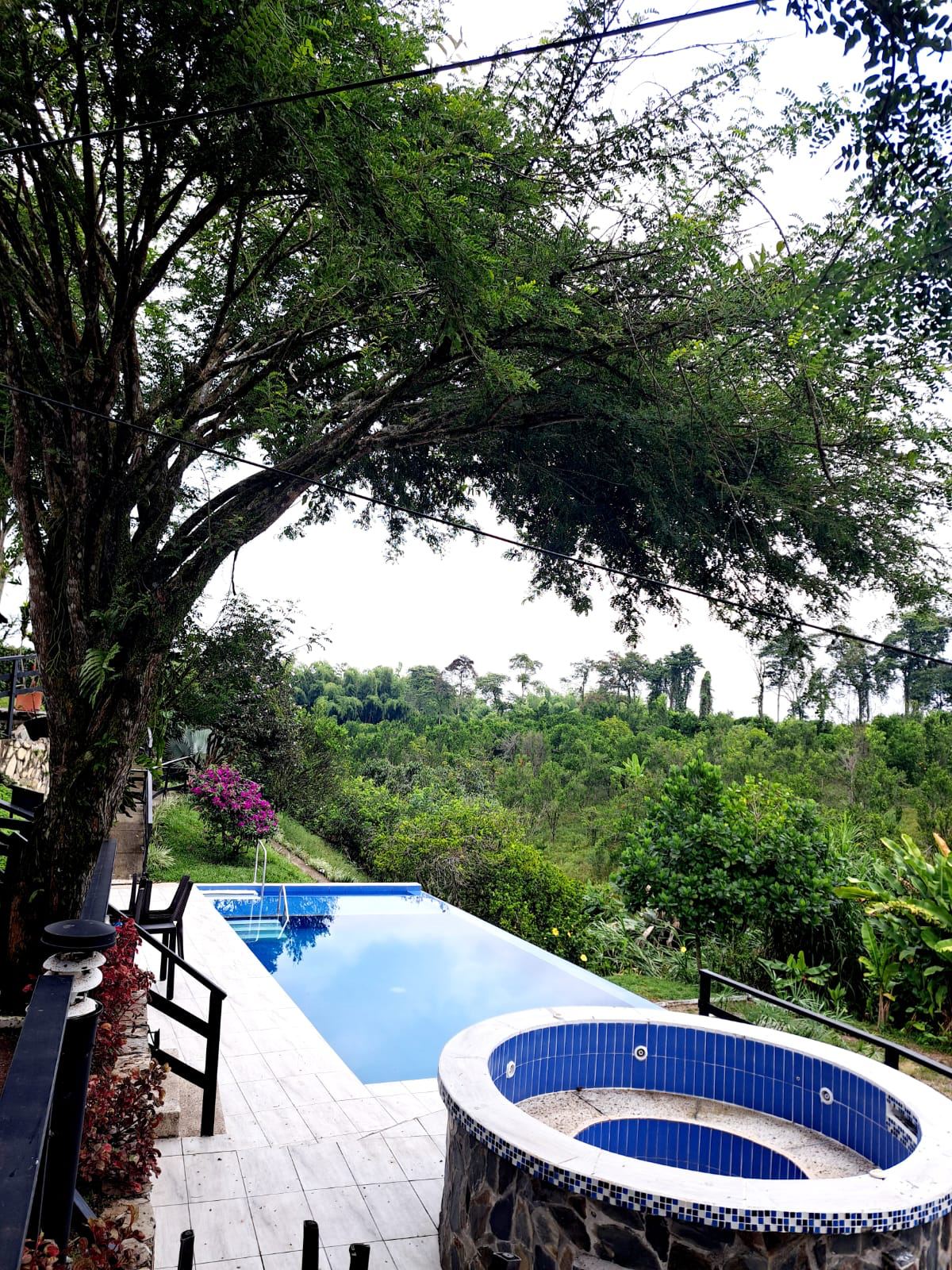 Piscina infinita con jacuzzi en piedra y vista al bosque